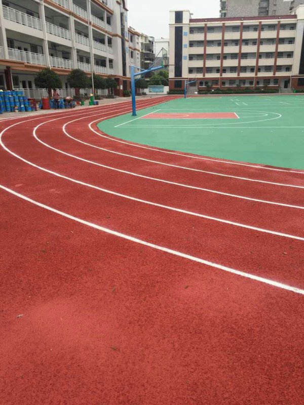 �人�л���������Сѧ͸�����ܵ�