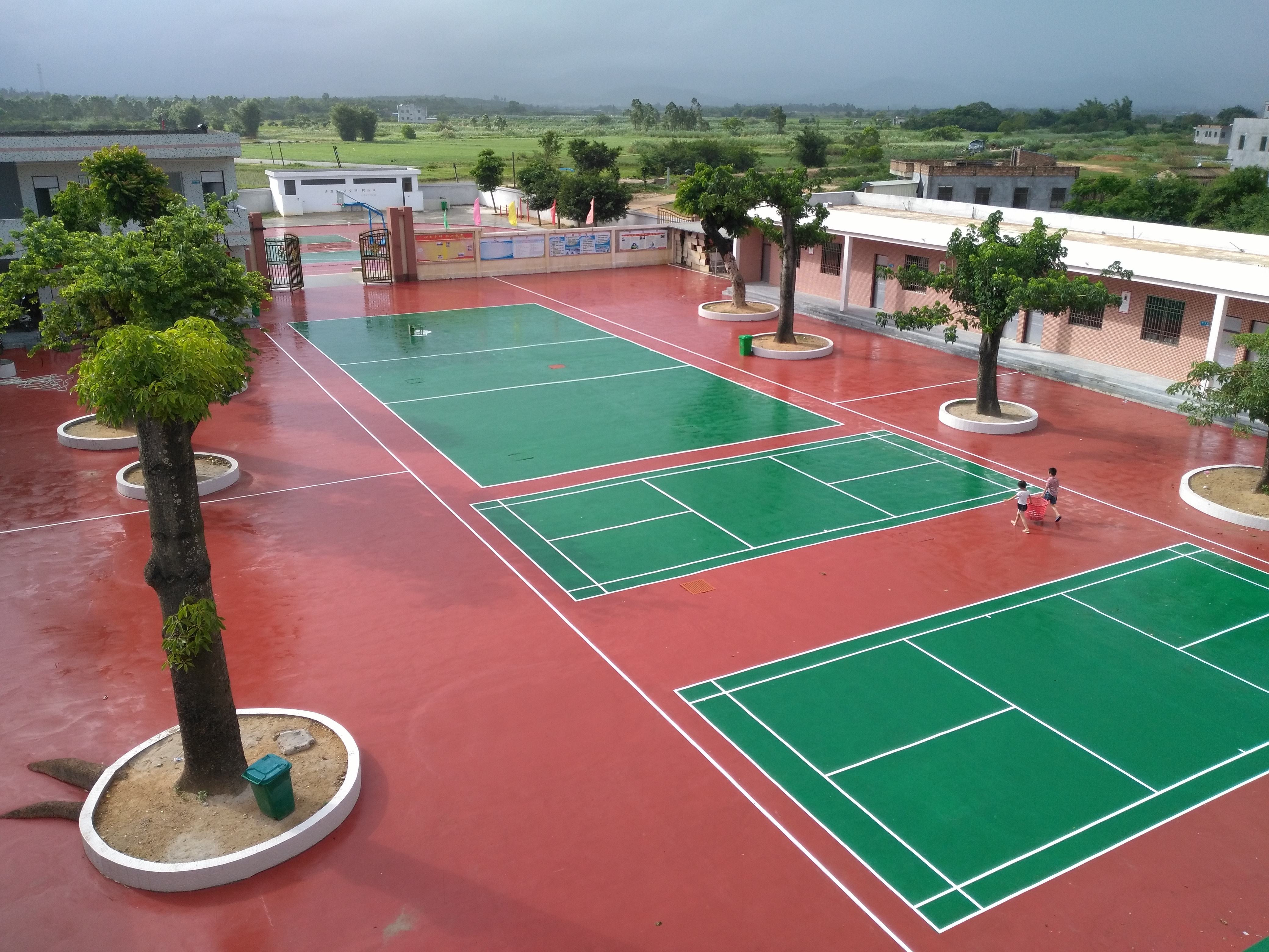 ��ϩ�������